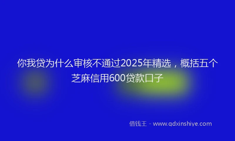 你我贷为什么审核不通过2025年精选，概括五个芝麻信用600贷款口子