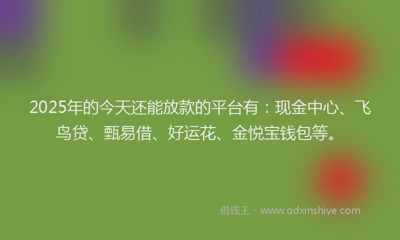 2025年的今天还能放款的平台有：现金中心、飞鸟贷、甄易借、好运花、金悦宝钱包等。