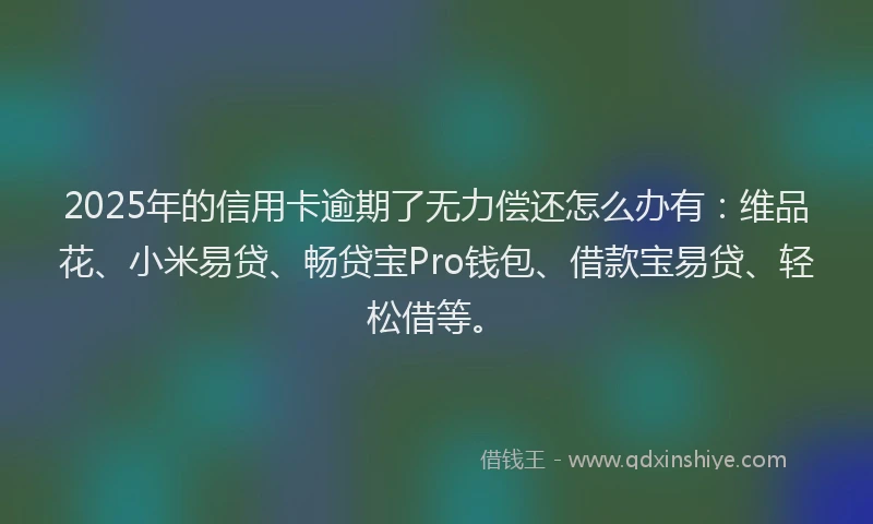 2025年的信用卡逾期了无力偿还怎么办有：维品花、小米易贷、畅贷宝Pro钱包、借款宝易贷、轻松借等。