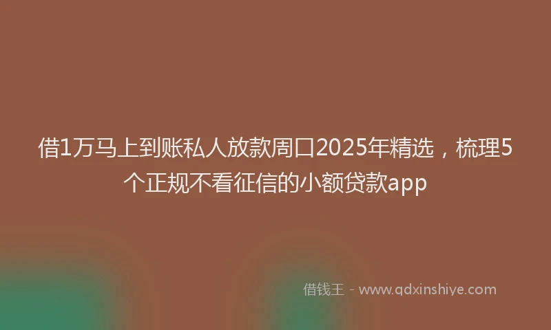借1万马上到账私人放款周口2025年精选，梳理5个正规不看征信的小额贷款app