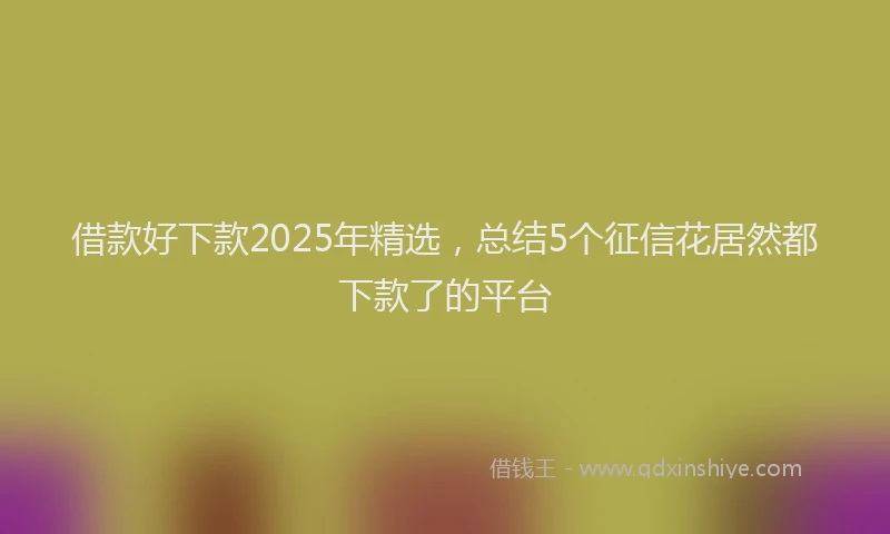 借款好下款2025年精选，总结5个征信花居然都下款了的平台