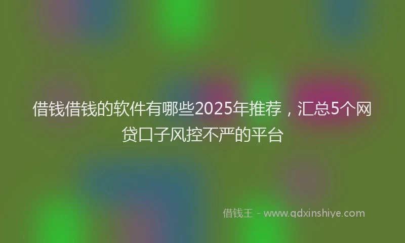 借钱借钱的软件有哪些2025年推荐，汇总5个网贷口子风控不严的平台