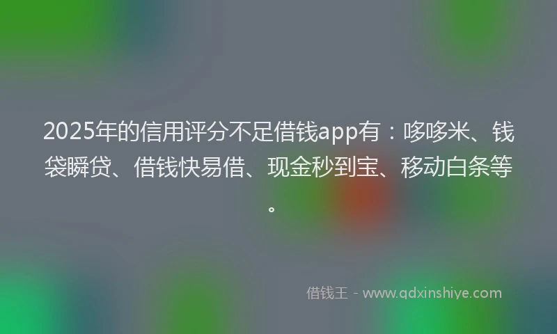 2025年的信用评分不足借钱app有：哆哆米、钱袋瞬贷、借钱快易借、现金秒到宝、移动白条等。