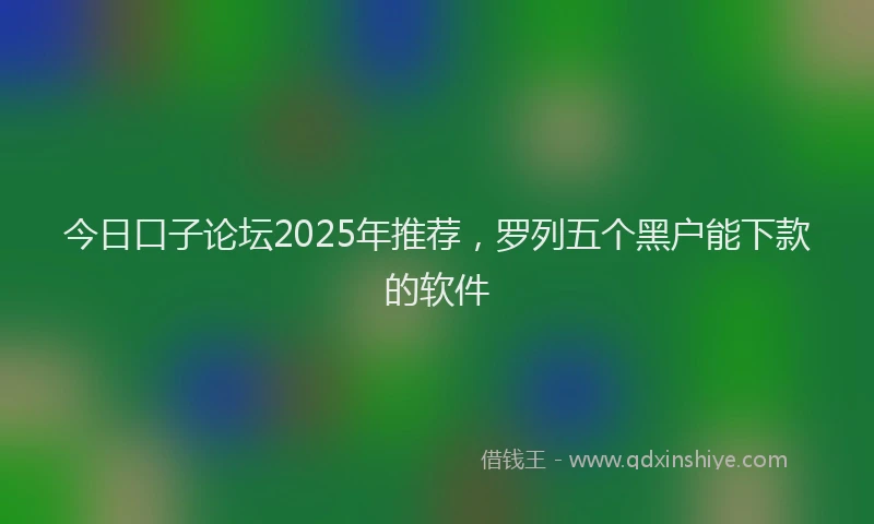 今日口子论坛2025年推荐，罗列五个黑户能下款的软件