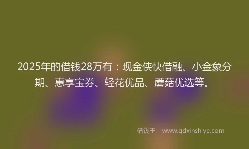 2025年的借钱28万有：现金侠快借融、小金象分期、惠享宝券、轻花优品、蘑菇优选等。