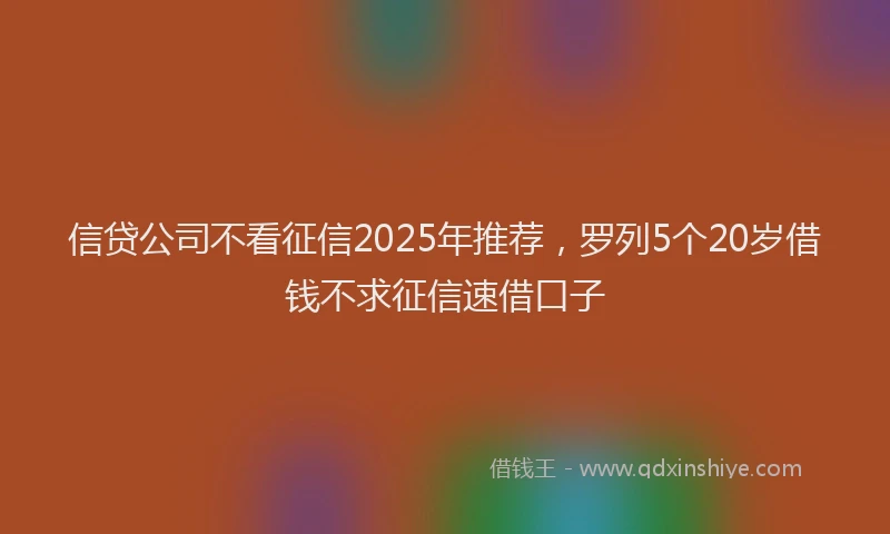 信贷公司不看征信2025年推荐，罗列5个20岁借钱不求征信速借口子