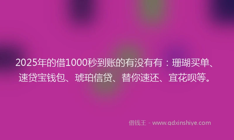 2025年的借1000秒到账的有没有有：珊瑚买单、速贷宝钱包、琥珀信贷、替你速还、宜花呗等。