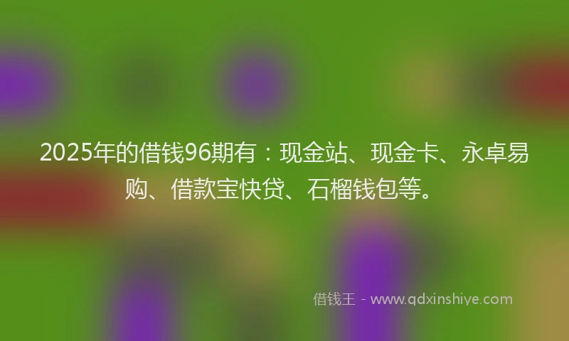 2025年的借钱96期有：现金站、现金卡、永卓易购、借款宝快贷、石榴钱包等。