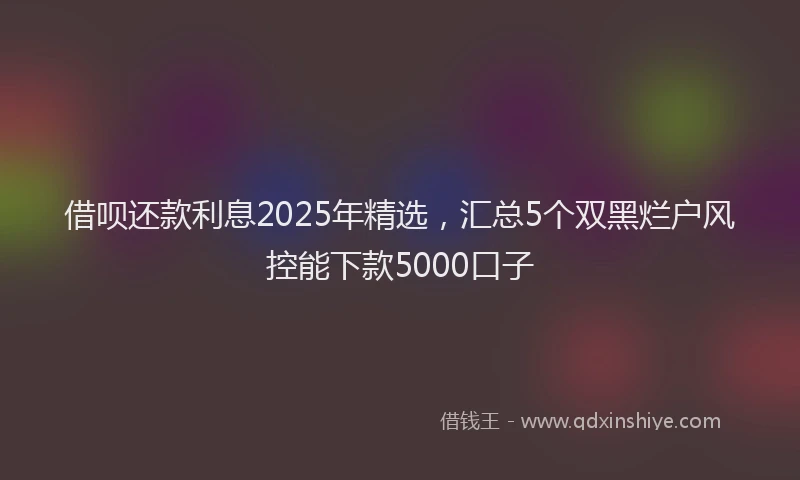 借呗还款利息2025年精选，汇总5个双黑烂户风控能下款5000口子