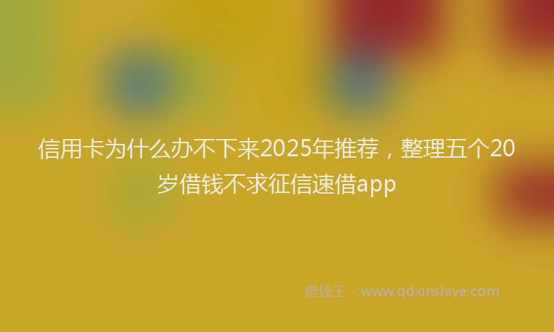 信用卡为什么办不下来2025年推荐，整理五个20岁借钱不求征信速借app