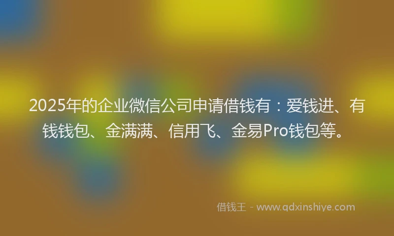 2025年的企业微信公司申请借钱有：爱钱进、有钱钱包、金满满、信用飞、金易Pro钱包等。