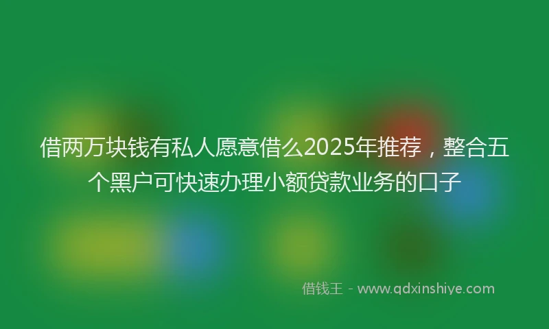 借两万块钱有私人愿意借么2025年推荐，整合五个黑户可快速办理小额贷款业务的口子