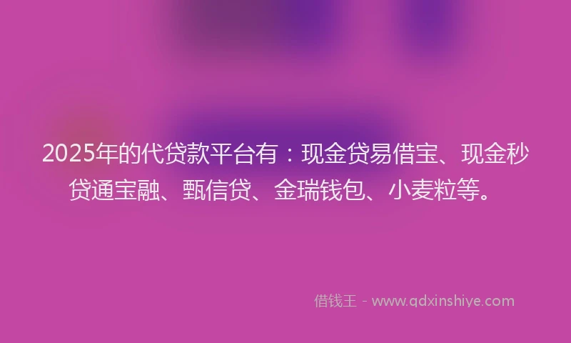 2025年的代贷款平台有：现金贷易借宝、现金秒贷通宝融、甄信贷、金瑞钱包、小麦粒等。