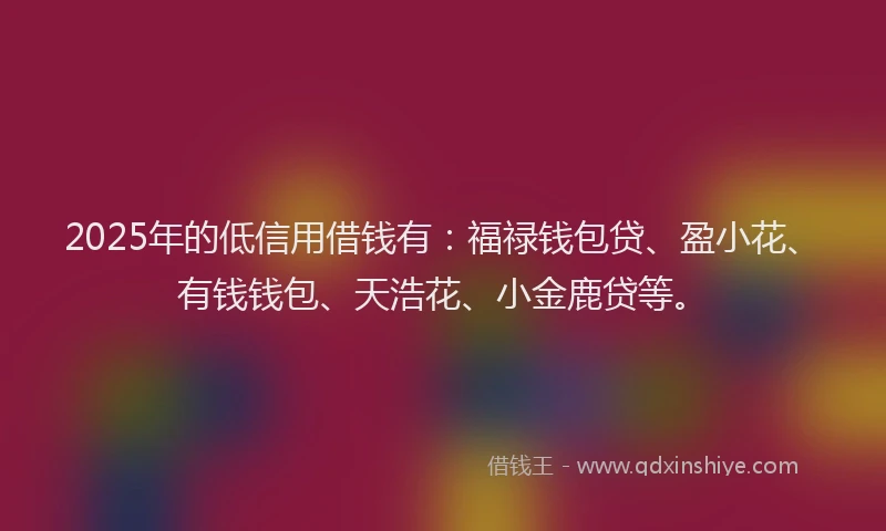 2025年的低信用借钱有：福禄钱包贷、盈小花、有钱钱包、天浩花、小金鹿贷等。