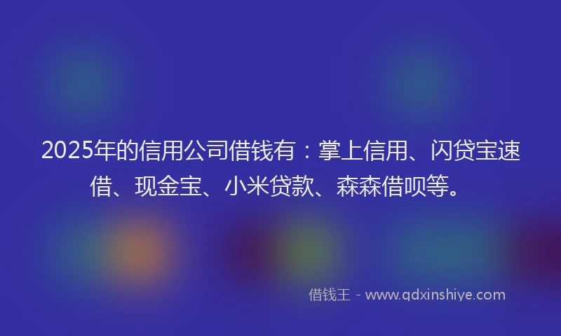 2025年的信用公司借钱有：掌上信用、闪贷宝速借、现金宝、小米贷款、森森借呗等。