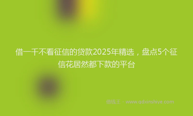 借一千不看征信的贷款2025年精选，盘点5个征信花居然都下款的平台