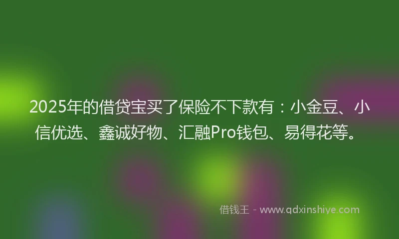 2025年的借贷宝买了保险不下款有：小金豆、小信优选、鑫诚好物、汇融Pro钱包、易得花等。