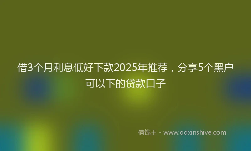 借3个月利息低好下款2025年推荐，分享5个黑户可以下的贷款口子