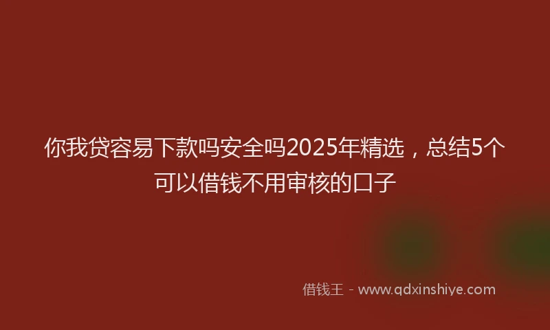 你我贷容易下款吗安全吗2025年精选，总结5个可以借钱不用审核的口子