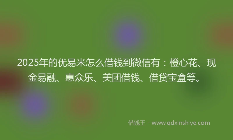 2025年的优易米怎么借钱到微信有：橙心花、现金易融、惠众乐、美团借钱、借贷宝盒等。