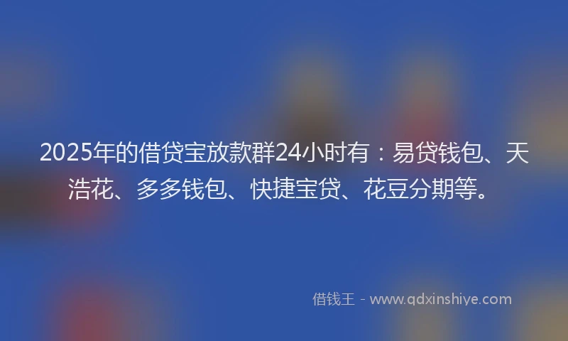 2025年的借贷宝放款群24小时有：易贷钱包、天浩花、多多钱包、快捷宝贷、花豆分期等。