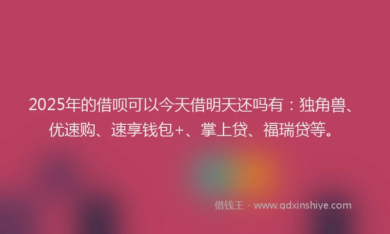 2025年的借呗可以今天借明天还吗有：独角兽、优速购、速享钱包+、掌上贷、福瑞贷等。