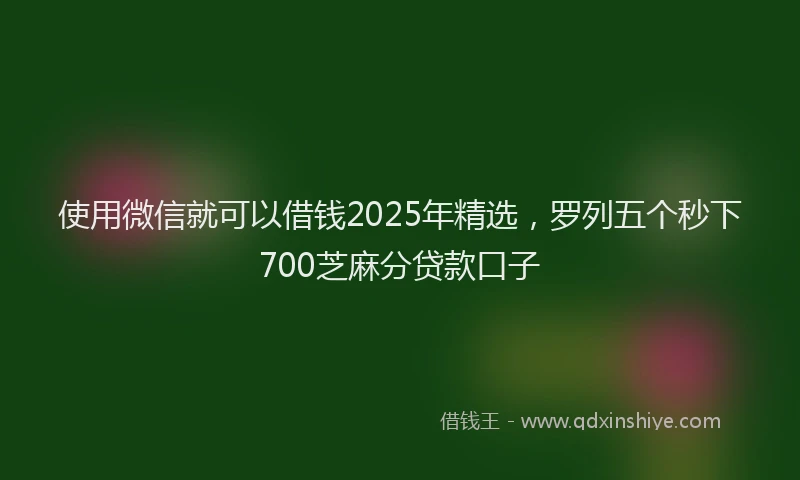 使用微信就可以借钱2025年精选，罗列五个秒下700芝麻分贷款口子
