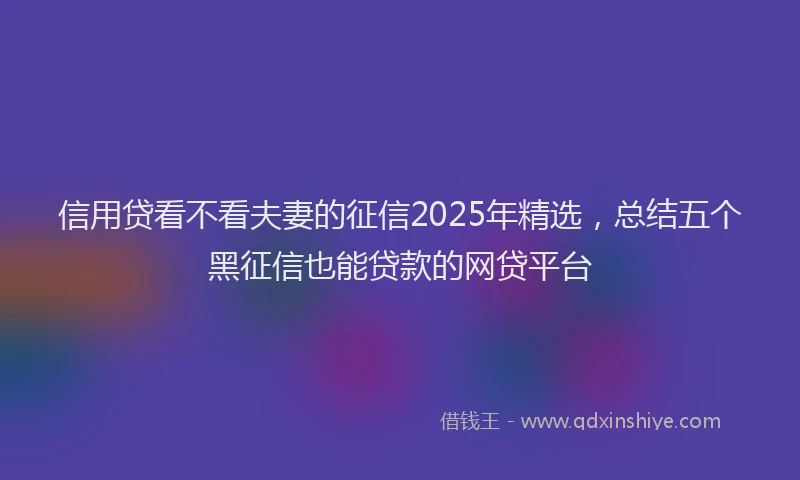 信用贷看不看夫妻的征信2025年精选，总结五个黑征信也能贷款的网贷平台