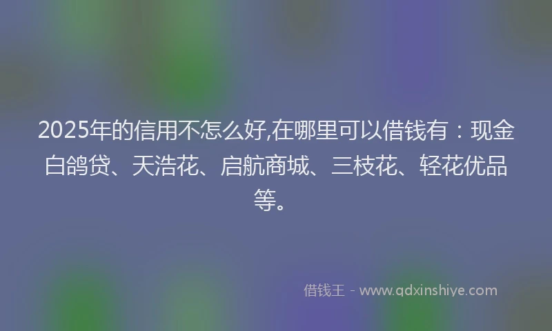 2025年的信用不怎么好,在哪里可以借钱有：现金白鸽贷、天浩花、启航商城、三枝花、轻花优品等。