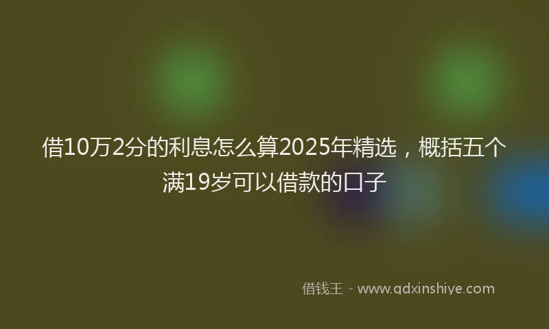 借10万2分的利息怎么算2025年精选，概括五个满19岁可以借款的口子