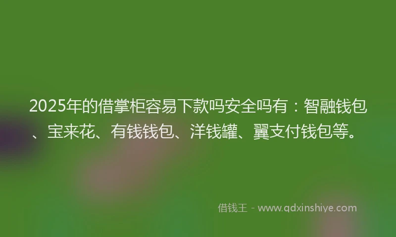 2025年的借掌柜容易下款吗安全吗有：智融钱包、宝来花、有钱钱包、洋钱罐、翼支付钱包等。
