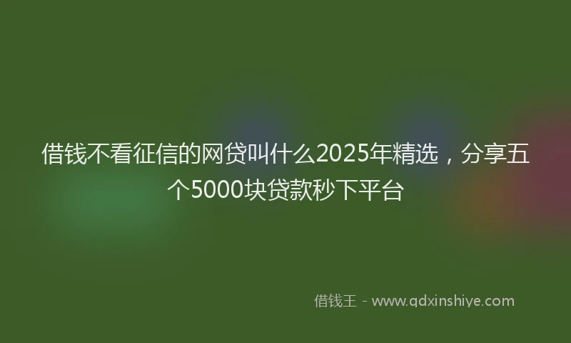 借钱不看征信的网贷叫什么2025年精选，分享五个5000块贷款秒下平台