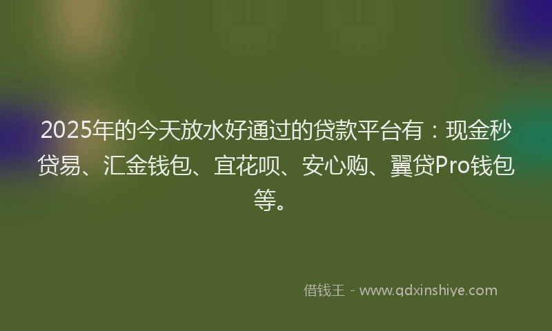 2025年的今天放水好通过的贷款平台有：现金秒贷易、汇金钱包、宜花呗、安心购、翼贷Pro钱包等。