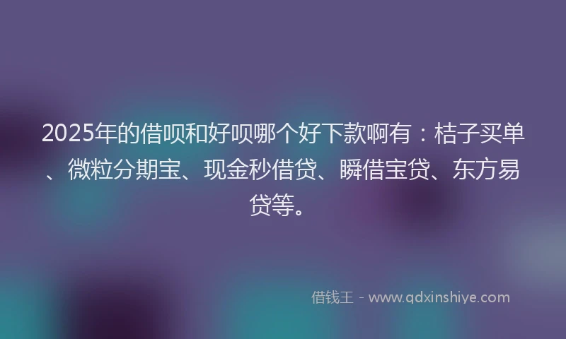 2025年的借呗和好呗哪个好下款啊有：桔子买单、微粒分期宝、现金秒借贷、瞬借宝贷、东方易贷等。