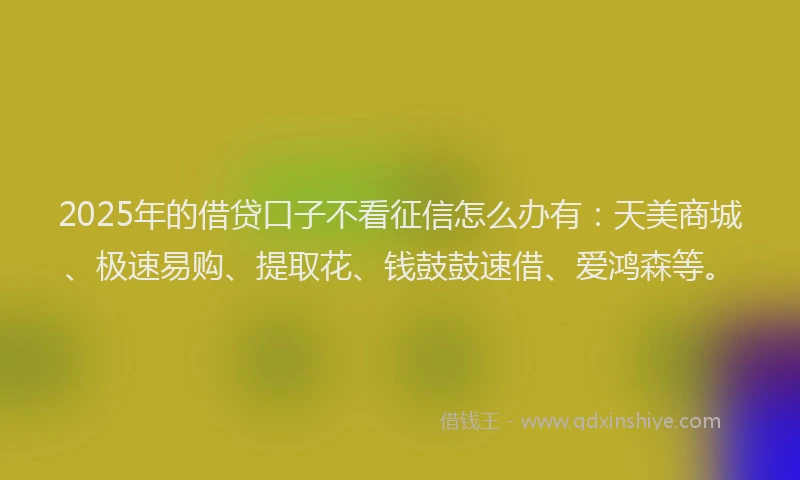 2025年的借贷口子不看征信怎么办有：天美商城、极速易购、提取花、钱鼓鼓速借、爱鸿森等。