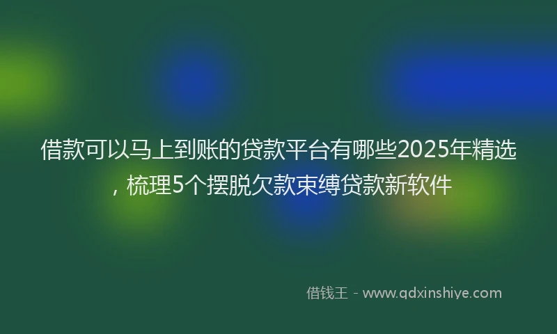 借款可以马上到账的贷款平台有哪些2025年精选，梳理5个摆脱欠款束缚贷款新软件