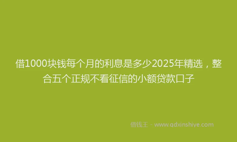借1000块钱每个月的利息是多少2025年精选，整合五个正规不看征信的小额贷款口子