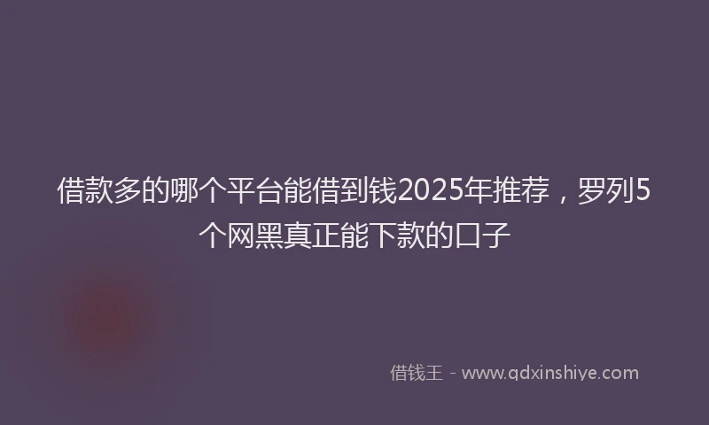 借款多的哪个平台能借到钱2025年推荐，罗列5个网黑真正能下款的口子