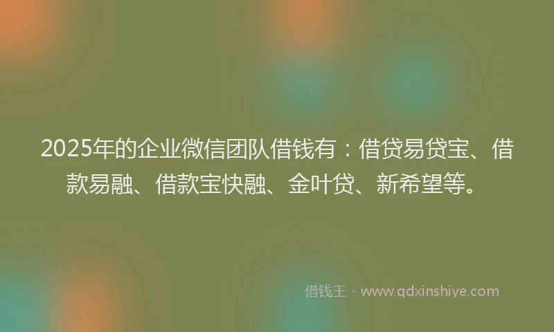 2025年的企业微信团队借钱有：借贷易贷宝、借款易融、借款宝快融、金叶贷、新希望等。