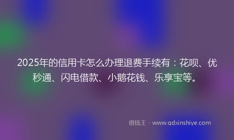 2025年的信用卡怎么办理退费手续有：花呗、优秒通、闪电借款、小鹅花钱、乐享宝等。