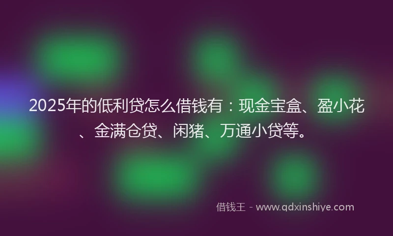 2025年的低利贷怎么借钱有：现金宝盒、盈小花、金满仓贷、闲猪、万通小贷等。