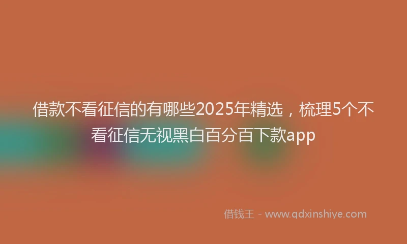 借款不看征信的有哪些2025年精选，梳理5个不看征信无视黑白百分百下款app