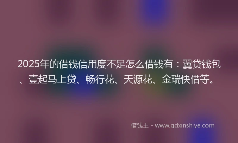 2025年的借钱信用度不足怎么借钱有：翼贷钱包、壹起马上贷、畅行花、天源花、金瑞快借等。