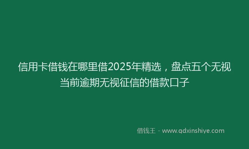 信用卡借钱在哪里借2025年精选，盘点五个无视当前逾期无视征信的借款口子