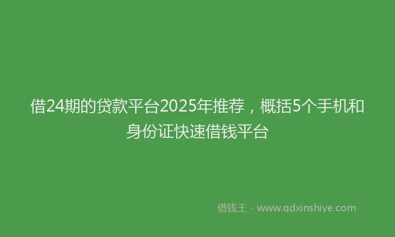 借24期的贷款平台2025年推荐，概括5个手机和身份证快速借钱平台