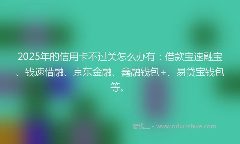 2025年的信用卡不过关怎么办有：借款宝速融宝、钱速借融、京东金融、鑫融钱包+、易贷宝钱包等。