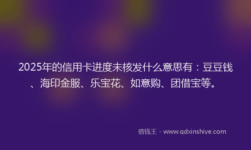 2025年的信用卡进度未核发什么意思有：豆豆钱、海印金服、乐宝花、如意购、团借宝等。