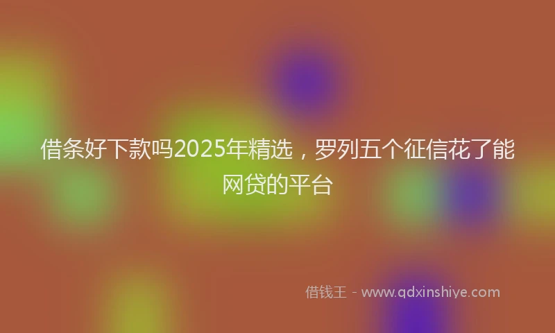 借条好下款吗2025年精选，罗列五个征信花了能网贷的平台