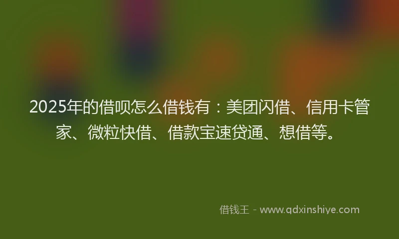 2025年的借呗怎么借钱有：美团闪借、信用卡管家、微粒快借、借款宝速贷通、想借等。