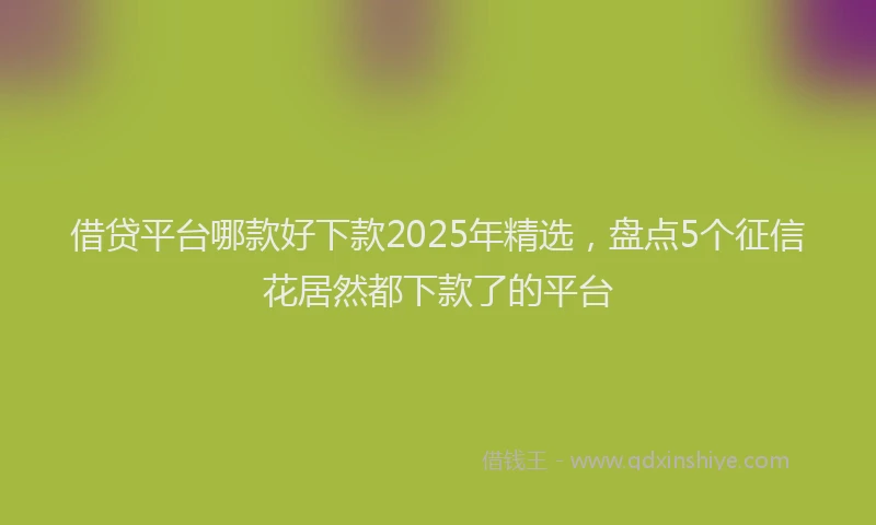 借贷平台哪款好下款2025年精选，盘点5个征信花居然都下款了的平台